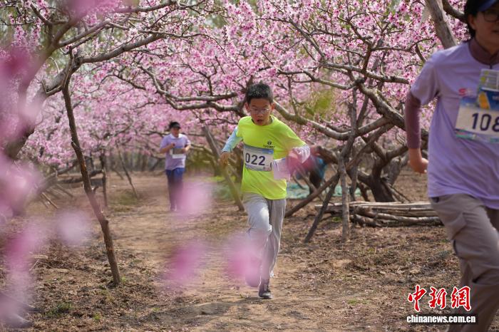 京津冀定向挑战赛宝坻站落幕 400余名选手畅游万